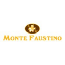 Monte Faustino